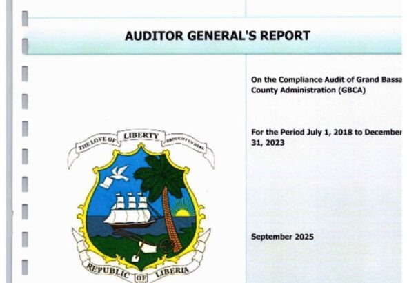 audit_report1