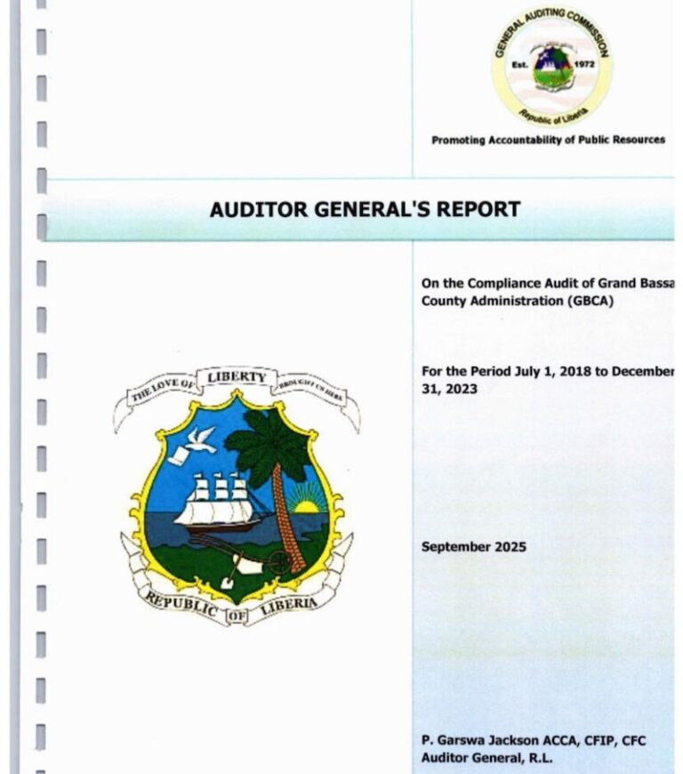 audit_report1