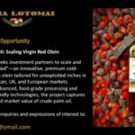 EOI_Dunia_Lotomai_Virgin_Red5