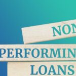 non_performing_loans1